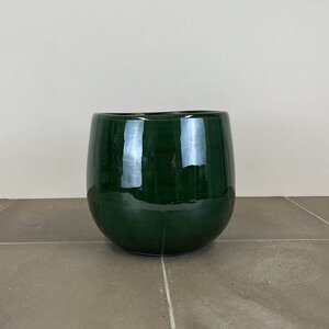 Pablo Dark Green (D21cm x H19cm) Indoor Plant Pot Cover - image 3