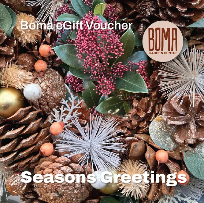 "Season's Greetings" eGift Voucher