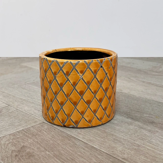 Shine Wyber Honey Ceramic Plant Pot (Internal D9xH8cm) - image 1