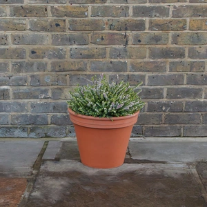 Standard Terracotta Pot (D37cm) Garden Planter - image 5