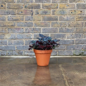 Standard Terracotta Pot Size 22cm Garden Planter - image 5