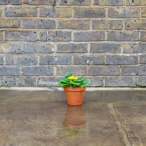Standard Terracotta Pot Size 13cm Garden Planter - image 5