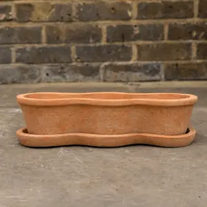 Terracotta Costa Window Box Planter (W48xD16xH10cm)