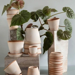 Terracotta Plant Pot & Saucer Set Rose Pink (Pot Size 10cm) Bergs Potter - image 2