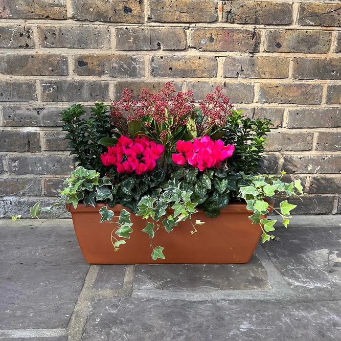 The Deluxe Pink Winter Festive Roma Planter - image 1