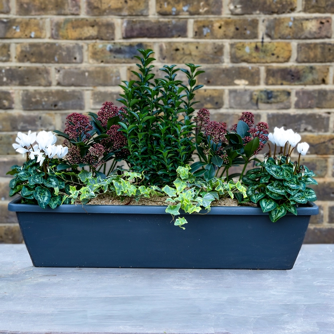 Westminster Capital Green Planter (70cm) - image 2