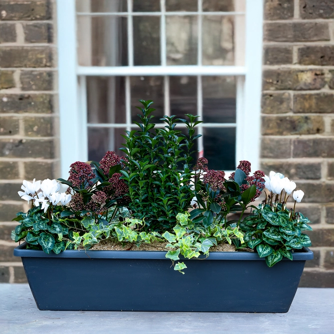 Westminster Capital Green Planter (70cm) - image 1