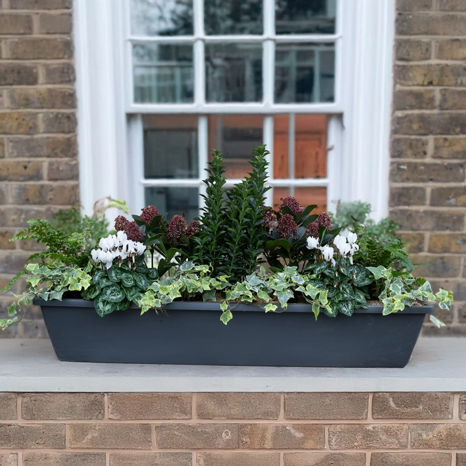 Westminster Capital Green Planter (90cm) - image 1