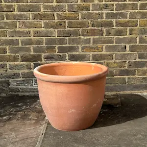 Whitewash Bowl Rim (D40xH30cm) Terracotta Planter - image 3