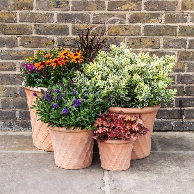 Whitewash Terracotta Handmade Basketweave Planter (D40cm x H33cm) Outdoor Plant Pot - image 5