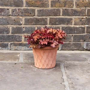 Whitewash Terracotta Handmade Basketweave Planter (D24cm x H18cm) Outdoor Plant Pot - image 3
