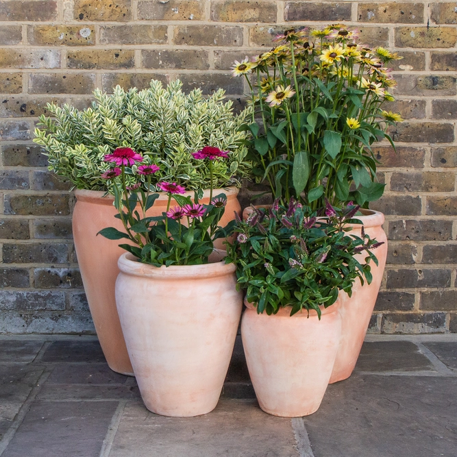 Whitewash Terracotta Handmade Belly Rim Stretched Planter (D50cm x H55cm)  Outdoor Plant Pot - image 5