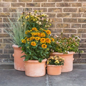 Whitewash Terracotta Handmade Cylinder Ears Planter (D21cm x H16cm) Outdoor Plant Pot - image 2