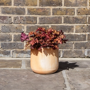 Whitewash Terracotta Handmade Cylinder Rib Planter (D30cm x H30cm) Outdoor Plant Pot - image 5