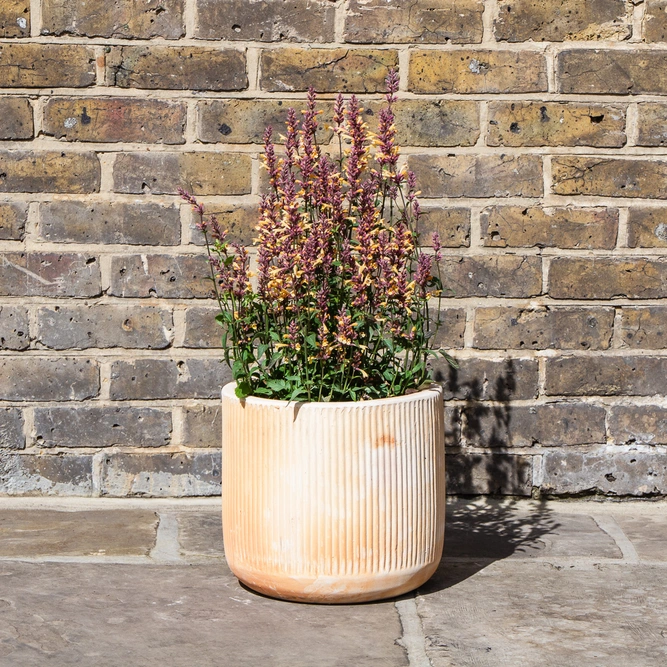 Whitewash Terracotta Handmade Cylinder Rib Planter (D30cm x H30cm) Outdoor Plant Pot - image 7