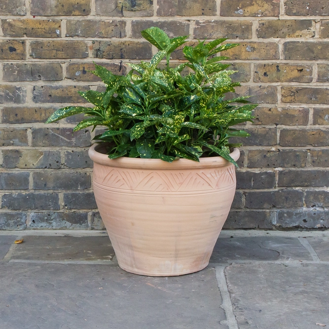 Whitewash Terracotta Handmade Stan Etched Planter (D48cm x H40cm) Outdoor Plant Pot - image 3