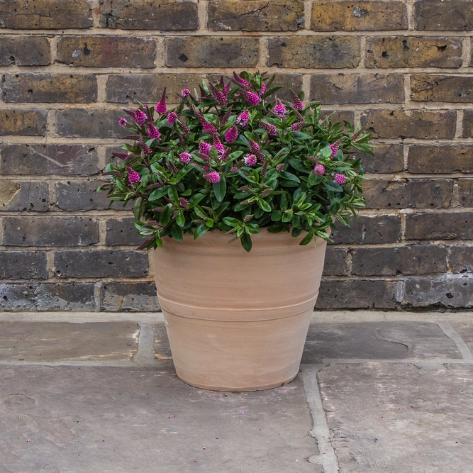 Whitewash Terracotta Handmade Stan RIng Planter (D38cm x H33cm) Outdoor Plant Pot - image 3