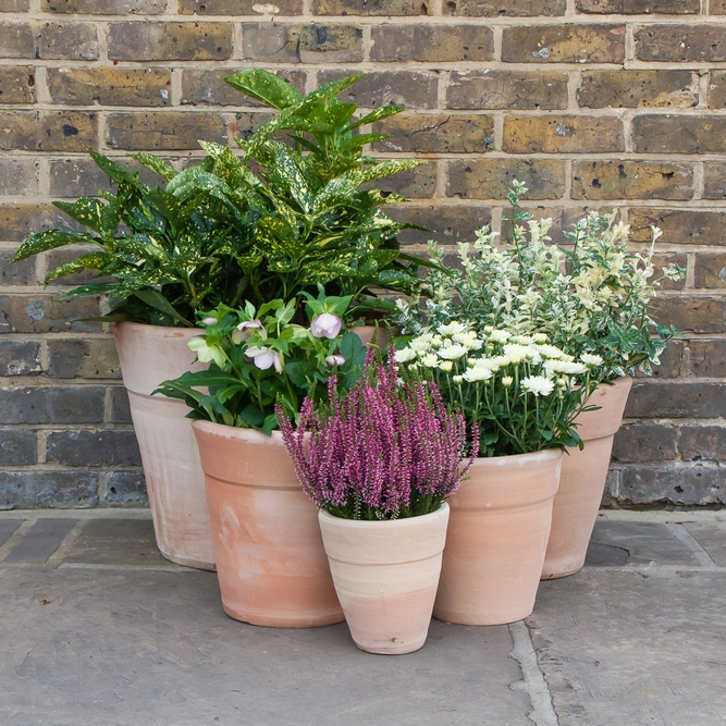 Whitewash Terracotta Handmade Stan Wide Planter (D24cm x H24cm) Outdoor Plant Pot - image 5