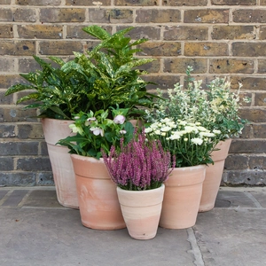 Whitewash Terracotta Handmade Stan Wide Planter (D31cm x H30cm) Outdoor Plant Pot - image 5