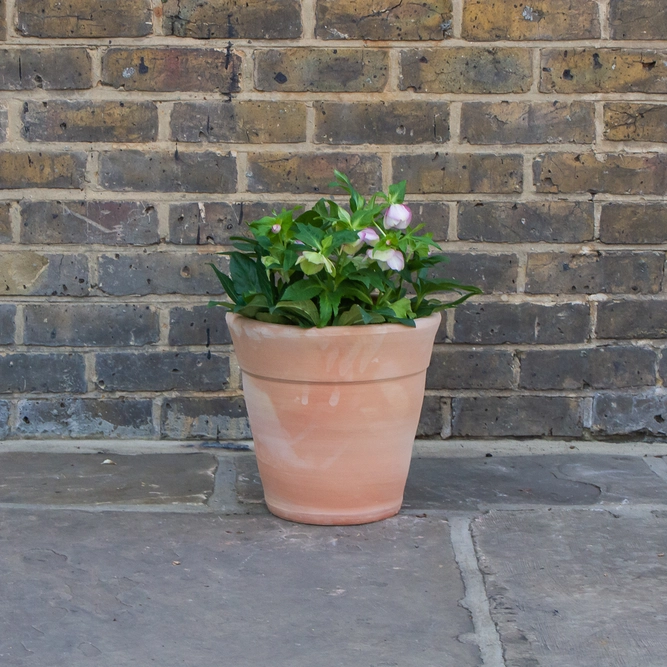 Whitewash Terracotta Handmade Stan Wide Planter (D31cm x H30cm) Outdoor Plant Pot - image 3