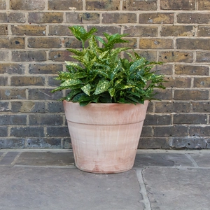 Whitewash Terracotta Handmade Stan Wide Planter (D47cm x H39cm) Outdoor Plant Pot - image 3