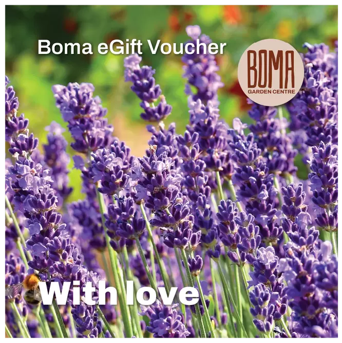 "With Love" eGift Voucher