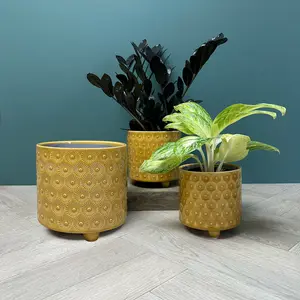 Yellow Gold Burst Pot (D15.5xH13.5cm) Yellow Gold Ceramic Plant Pot - image 2